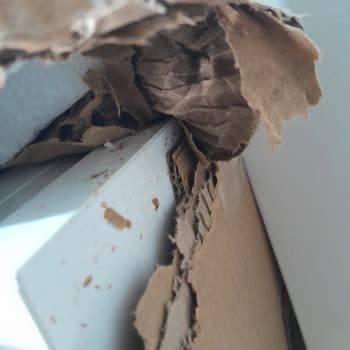 Kargo Kaynaklı Nemli Paketleme Ve Satıcı Desteksizliği Nedeniyle Portmantoda Büyük Hasar
