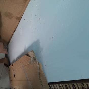 Kargo Kaynaklı Nemli Paketleme Ve Satıcı Desteksizliği Nedeniyle Portmantoda Büyük Hasar