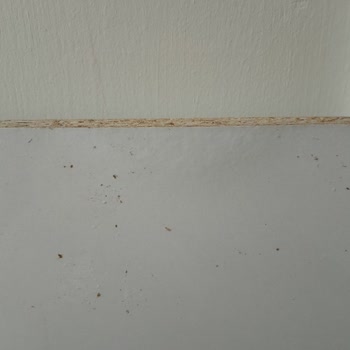 Kargo Kaynaklı Nemli Paketleme Ve Satıcı Desteksizliği Nedeniyle Portmantoda Büyük Hasar