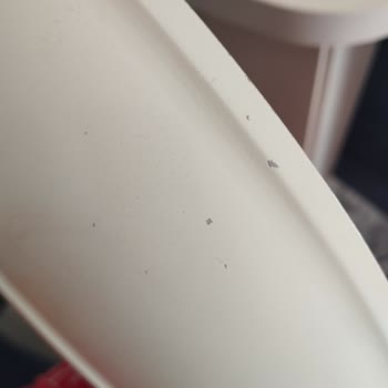 Karaca Tavada Ciddi Çizilmeler Oldu!