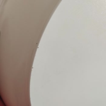 Karaca Tavada Ciddi Çizilmeler Oldu!