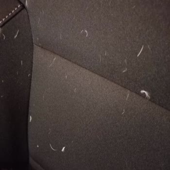 Tüy Çıkan Montta Kalite Sorunu Ve Mağazanın İade Reddi