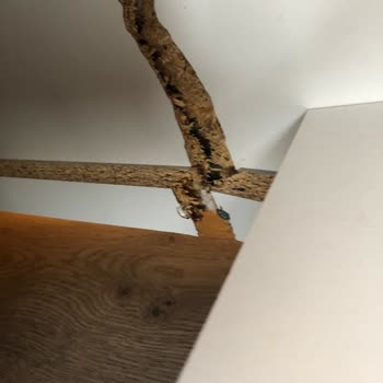 Vivense'den Yedek Parça Siparişi Ve Ödeme Sürecinde Cevapsızlık