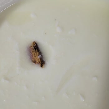 Yoğurtta Odun Parçası Çıktı, Üretim Hijyeni Endişesi