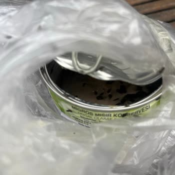 Migros Mısır Konservesinde Böceklenme Ve Gıda Güvenliği İhlali