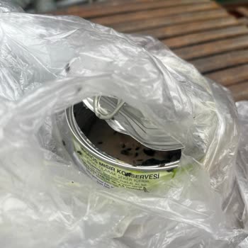 Migros Mısır Konservesinde Böceklenme Ve Gıda Güvenliği İhlali