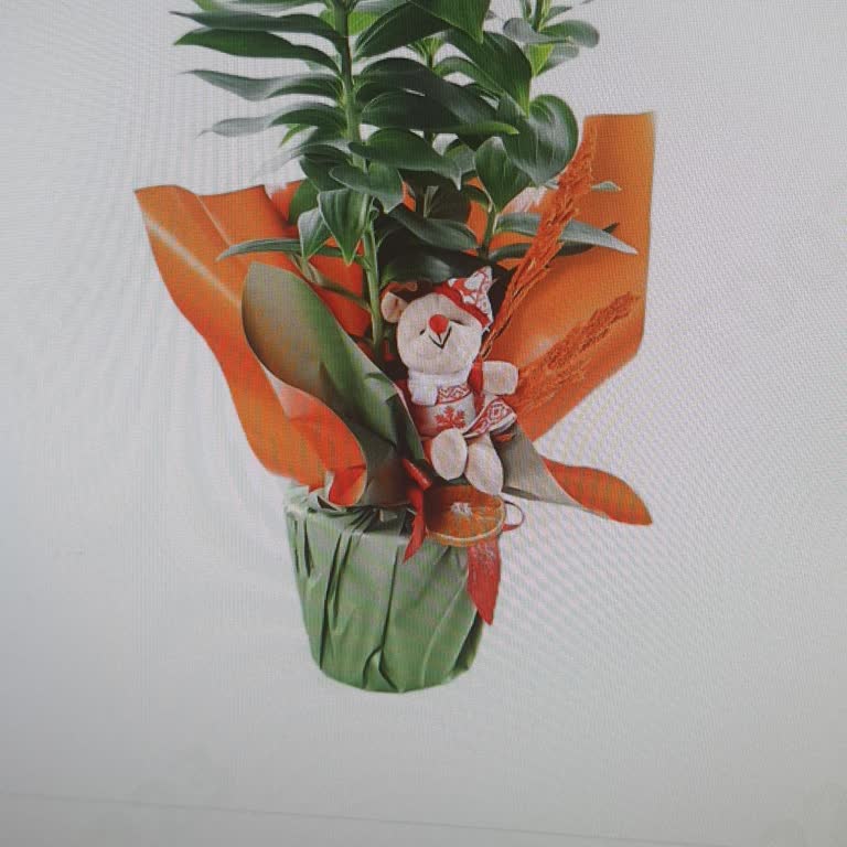 Gönderilen Çiçek Görseliyle Uyuşmadı Ve Müşteri Desteği Çözüm Sunmadı