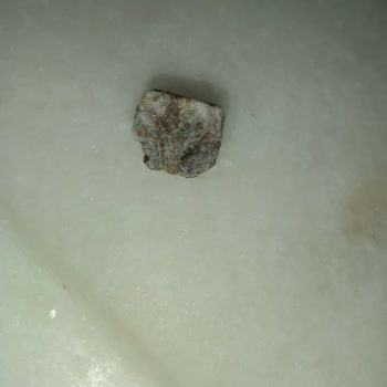 Metro Market Aro Dondurulmuş Patatesinde Yabancı Madde Tespiti