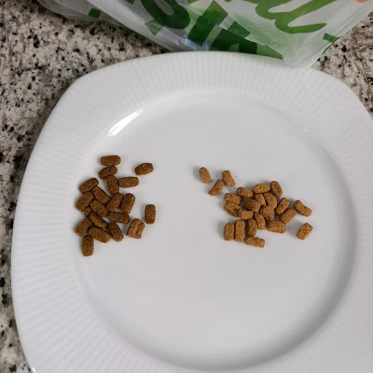 N11 Pro Plan Kedi Maması İçin İade ve Satıcı Denetimi Talebi