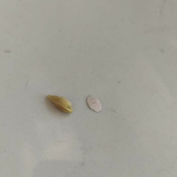 Bosch Bulaşık Makinesinde Pompa Temizliği Ücretine Kullanıcı Hatası İddiası