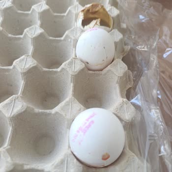 BİM Şubesinde Bozuk Yumurta Ve Kötü Koku Şikayeti