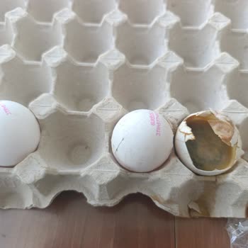 BİM Şubesinde Bozuk Yumurta Ve Kötü Koku Şikayeti