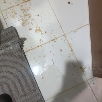 Türkiye Sigorta Dora Ekspertiz'de Laubali Tutumu ve Eksik Hasar Değerlendirmesi