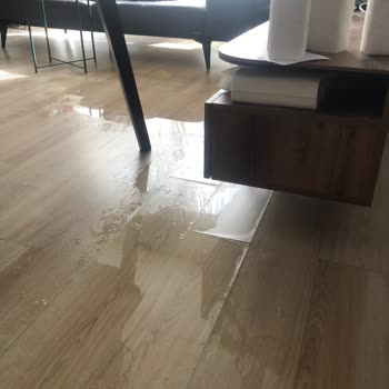 Türkiye Sigorta Dora Ekspertiz'de Laubali Tutumu ve Eksik Hasar Değerlendirmesi