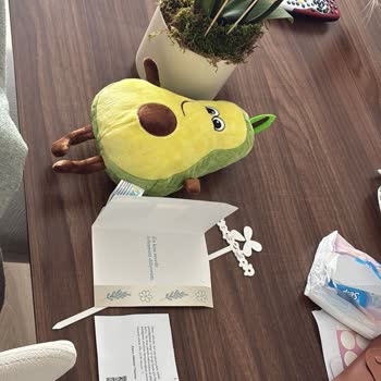 Yanlış Notlu Çiçek Teslimatı Ve Müşteri Hizmetleri Sözlerinin Yerine Getirilmemesi