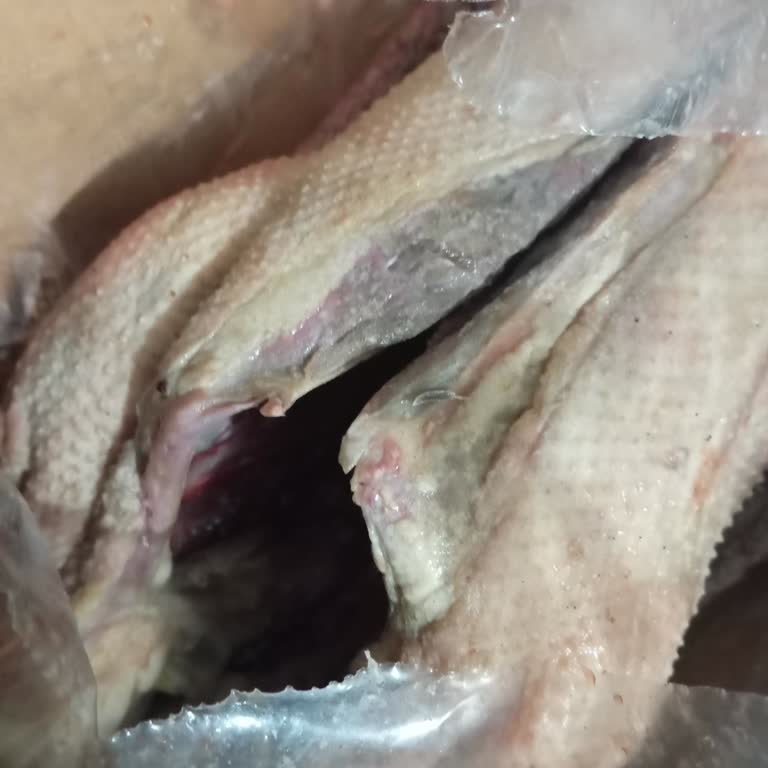 Sürat Kargo’da Kazın Bozulması Ve Geciken Teslimat Nedeniyle İade Talebi