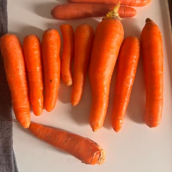 Sebze Kalitesinde Süngerimsi Ürünler Ve Hızlı Bozulma Sorunu