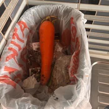 Sebze Kalitesinde Süngerimsi Ürünler Ve Hızlı Bozulma Sorunu