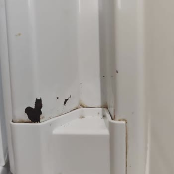 Bosch Buzdolabımda Paslanma Garanti Dışı Mı
