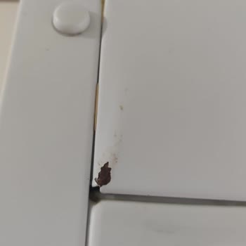 Bosch Buzdolabımda Paslanma Garanti Dışı Mı