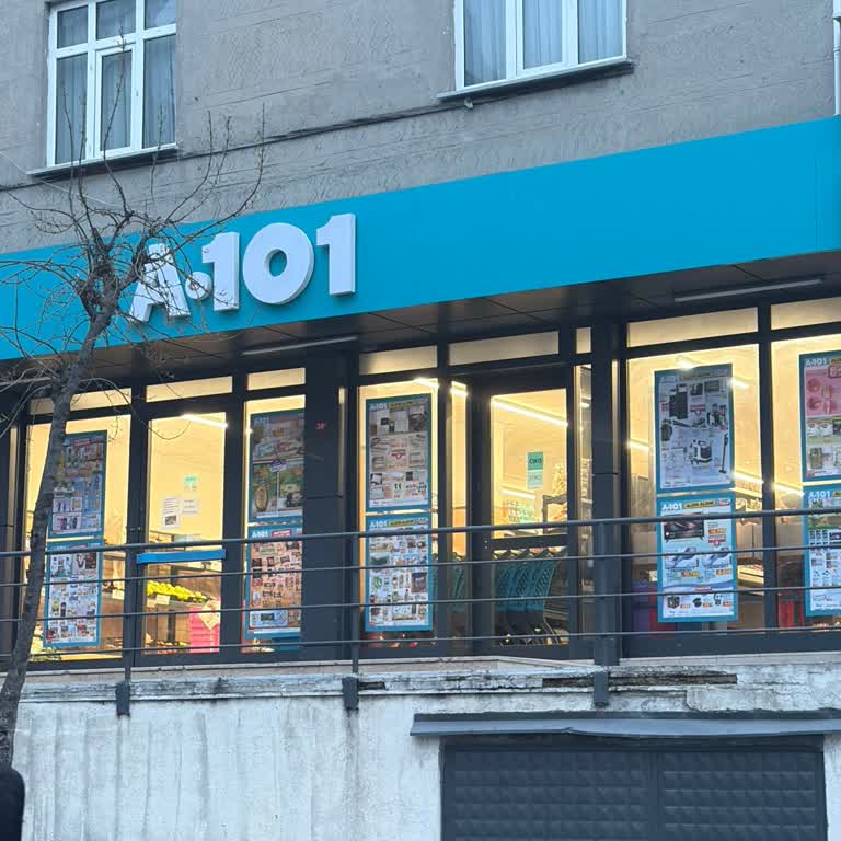 A101 Şubesinde Kedilerin Keyfi Uzaklaştırılması Ve Hayvan Haklarının İhlali