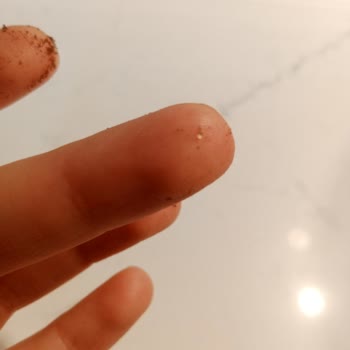 Migros Mağazasında Türk Kahvesinde Altın Renkli Yabancı Maddeler Tespit Edildi