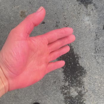 Aracımda Renk Bırakan Temizleyici Ürün İçin Tam İade Talebi