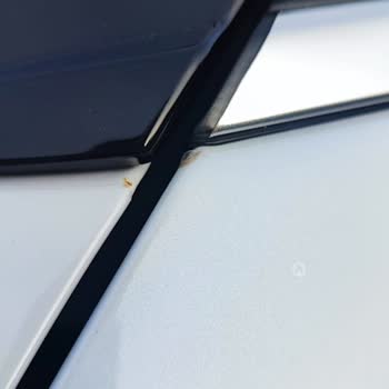 Sıfır Araçta Paslanma, Garanti Reddi