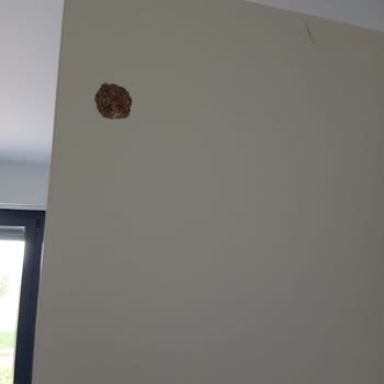 Kemalpaşa Kelebek Mobilya Hasarlı Kurulum Ve Saygısız Tavır