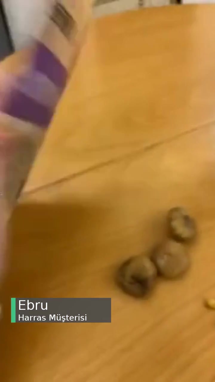 Harras File Kuru İncir Kurtlu videonun kapak resmi