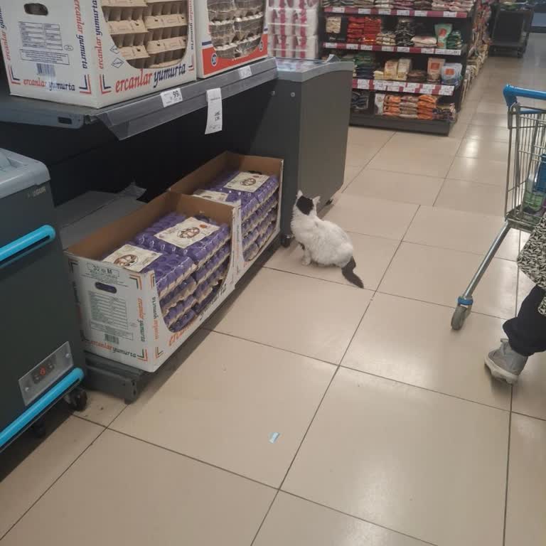 A101 Kasada Personel İlgisizliği Ve Hijyen Sorunları Mağazadan Çıkmaya Zorladı