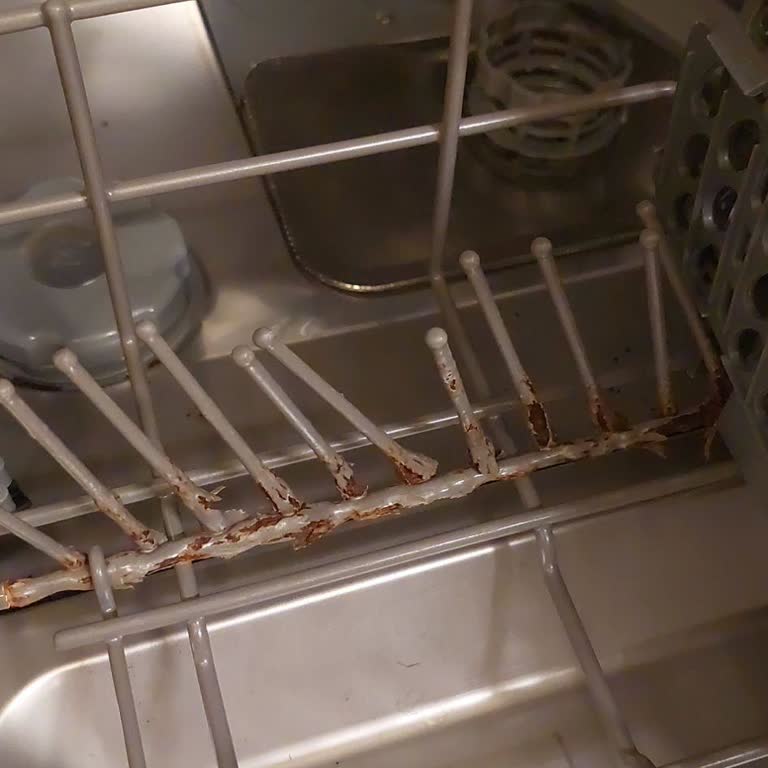 Franke Bulaşık Makinesinde Sepetlerde Aşırı Paslanma Şikayeti