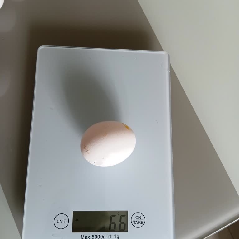 Yumurta Gramajı Eksik Ve Kırık Ürün Sorunu