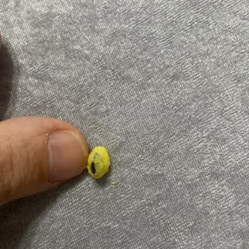 Mini Cheetos Süt Mısır Aromalı Üründe Siyah Yabancı Madde Bulunması