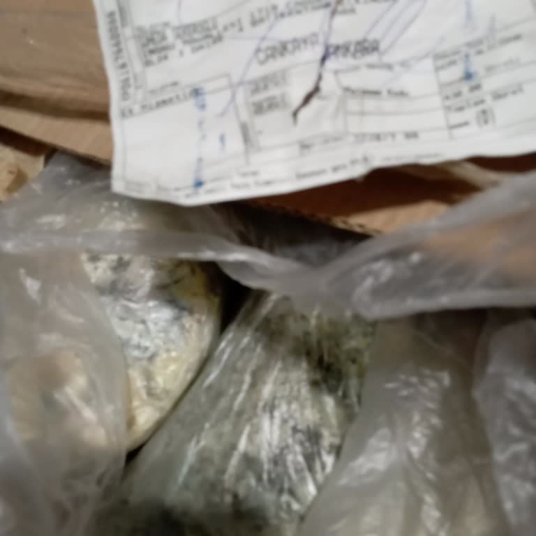 PTT Kargo'nun Teslimat Gecikmesi Ve Bozulmuş Ürün Ücret İadesi Talebi