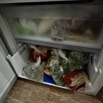 Beko Buzluk Çekmece Kırılması Ve Ücretsiz Değişim Talebi