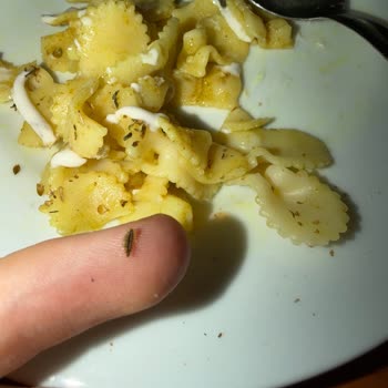 Yemeklerde Böcek Çıkması Ve Haksız Çıkarma Kararı