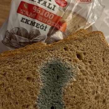 Küflü Ekmeğin Alt Dilimlerinde Hijyen İhlali: İade Ve Kontrol İsteği