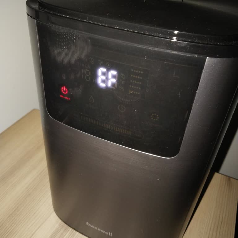 Weewell WHC752R Buhar Makinesi İlk Saatte EF Hatası Verdi Ve Çalışmıyor