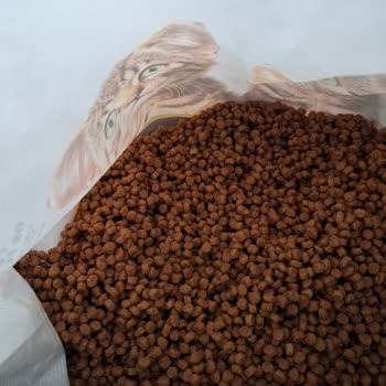 Migros Petimo ve Nestle Bozuk Kedi Maması Üzerinde Sorumluluk Almadı