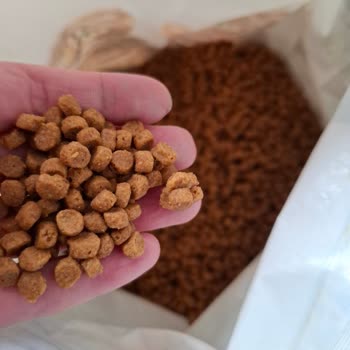 Migros Petimo’da Pro Plan Bozuk Kedi Maması İçin Değişim Ve İade Reddedildi