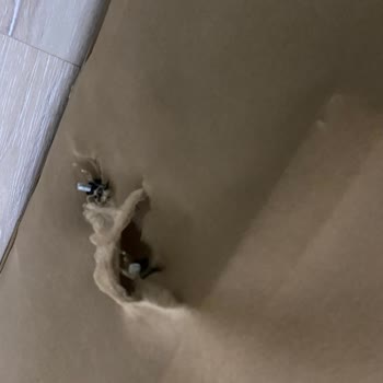 Kurulumda Yırtılan Başlık Ve Cevapsız İletişim