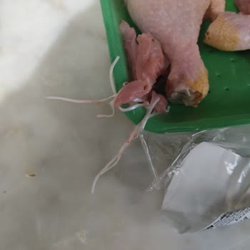 Banvit Tavuk Bagetiyle Gelen Tanımsız Yabancı Madde Ve İade Sorunları