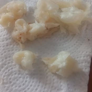 Torku Tam Yağlı Kaşar Yemek Mümkün Değil!