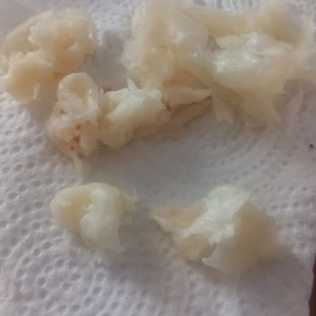 Torku Tam Yağlı Kaşar Yemek Mümkün Değil!