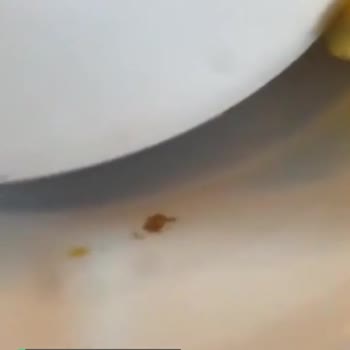 Köfteci Yusuf Hijyen Sorunu Ve Artık Yiyecekler!