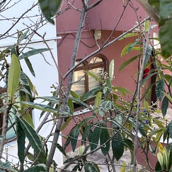 Türk Telekom İnternet Kesintisi: Altyapı Sorunu Ve Kalıcı Çözüm Talebi