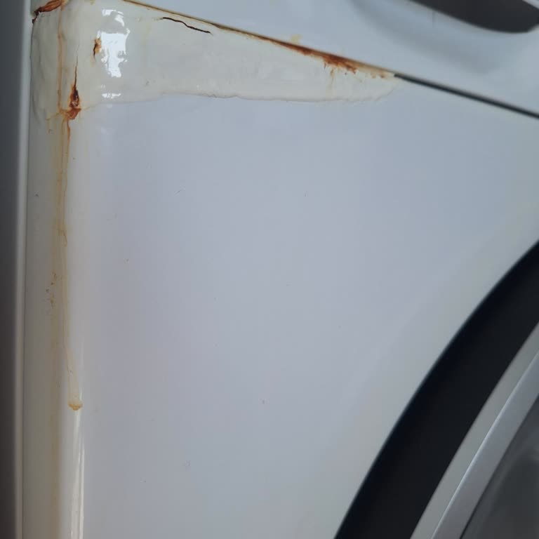 Kısa Sürede Siemens IQ300 Çamaşır Makinesi Ön Kapak Küfü Ve Ücretsiz Onarım Talebi