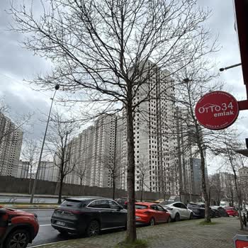 İstanbul Belediyesi Ağaç Budama Talebim Üç Ayda Hâlâ Çözülmedi