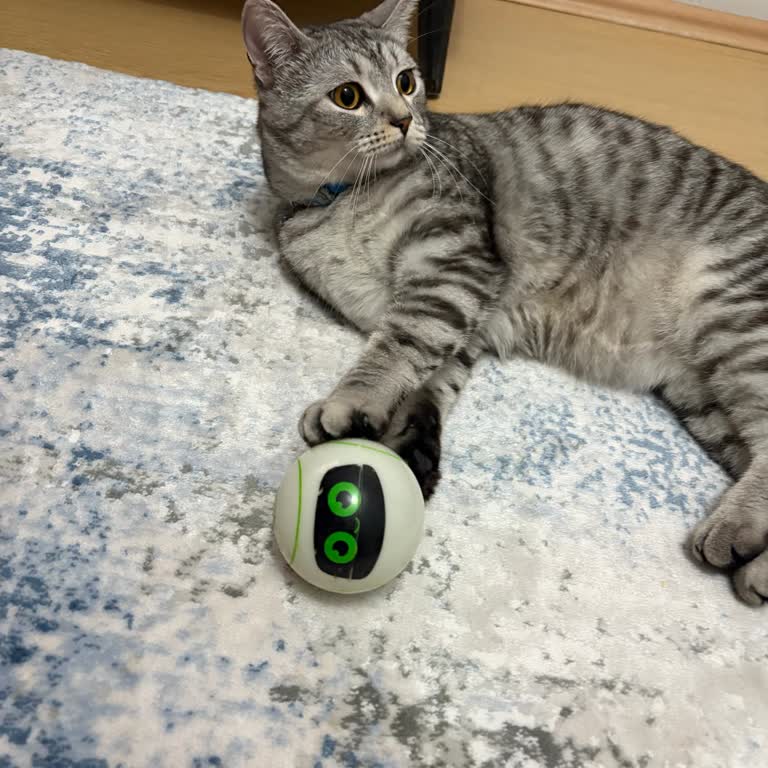 Garanti BBVA’dan Kedim İçin Işıklı Obi Topunun Yeniden Gönderilmesi